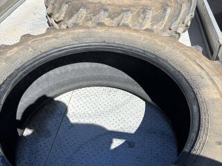 IMG 3664