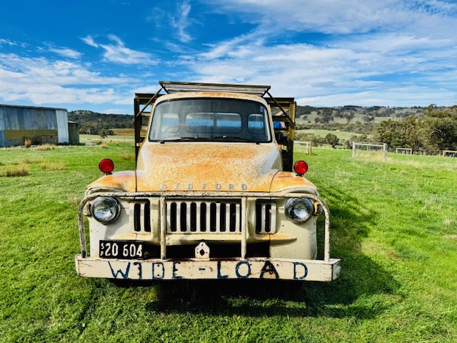 Bedford front on