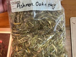 wasleys oaten squares sample bag