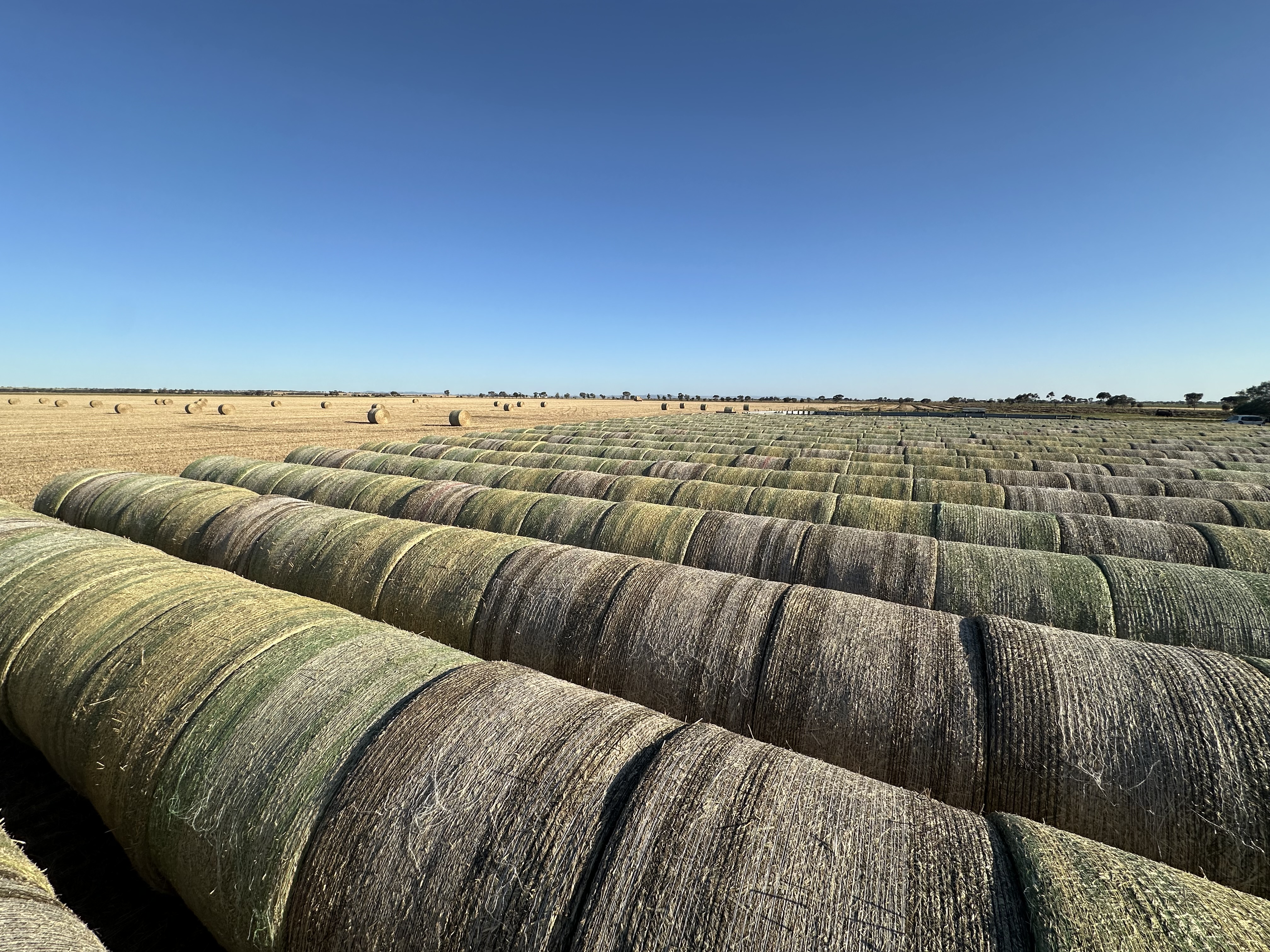 Hay Stack 1
