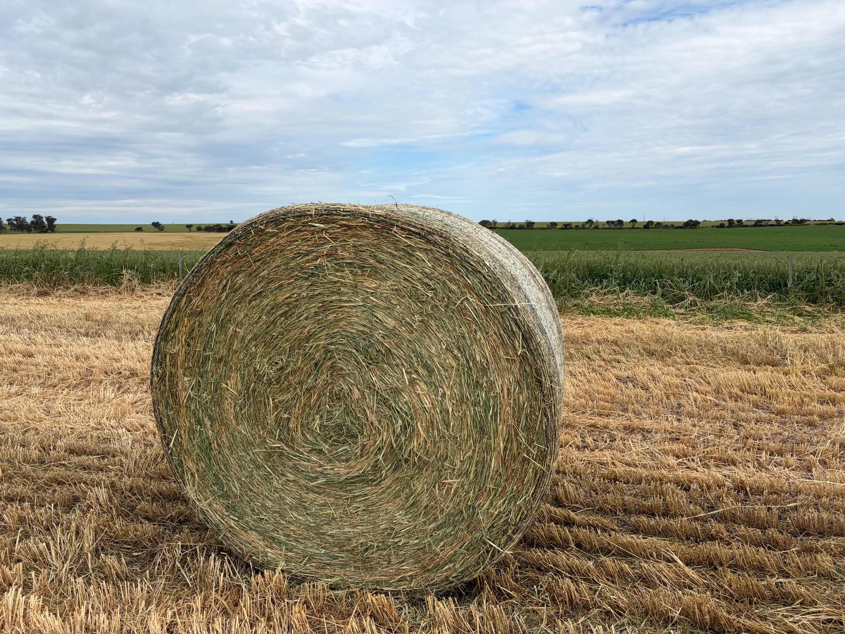 hay 2026 pt 5