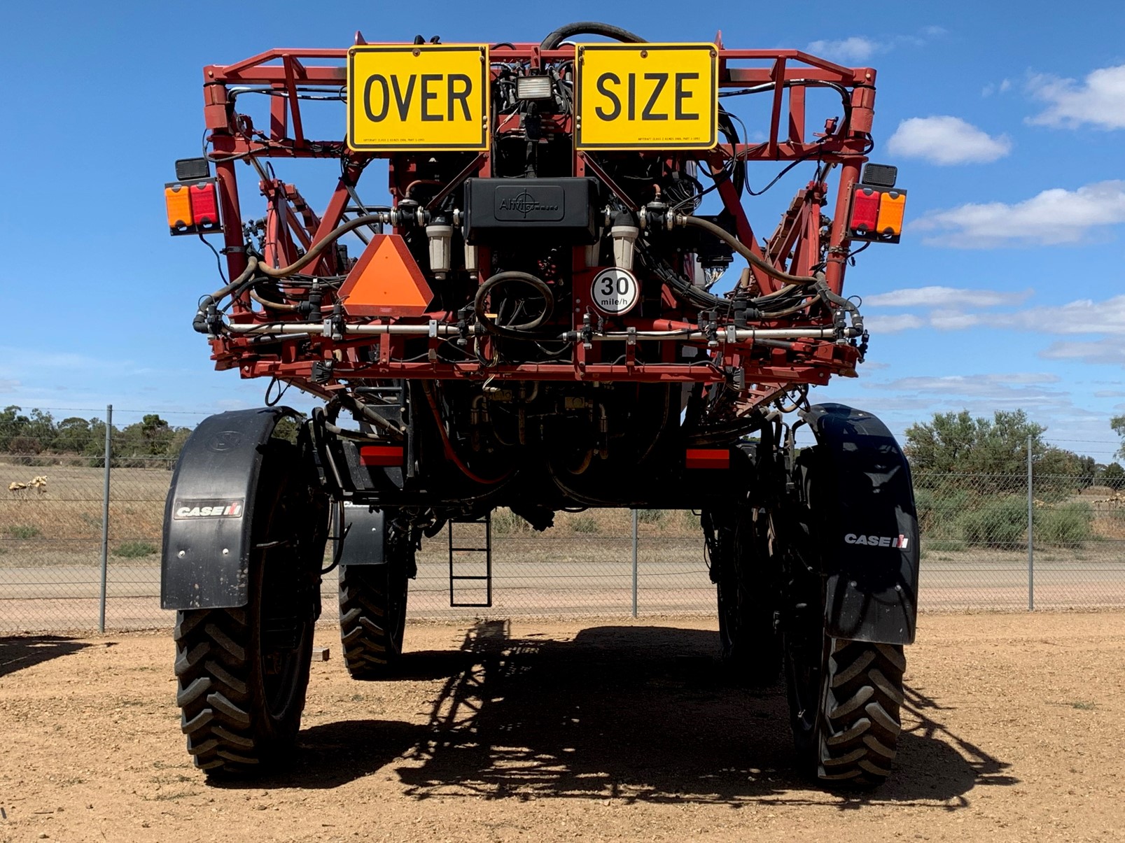 51294