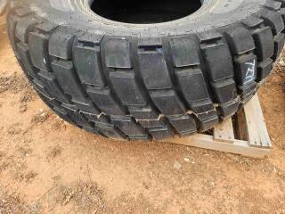 TYRE 31